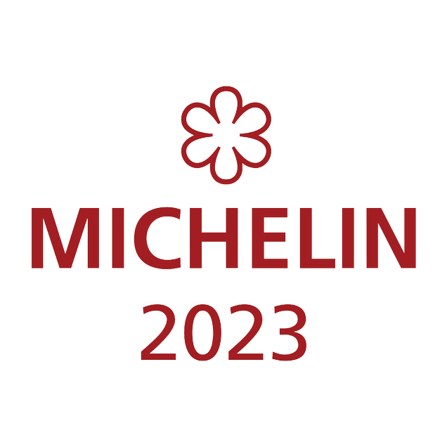 Michelin Logo